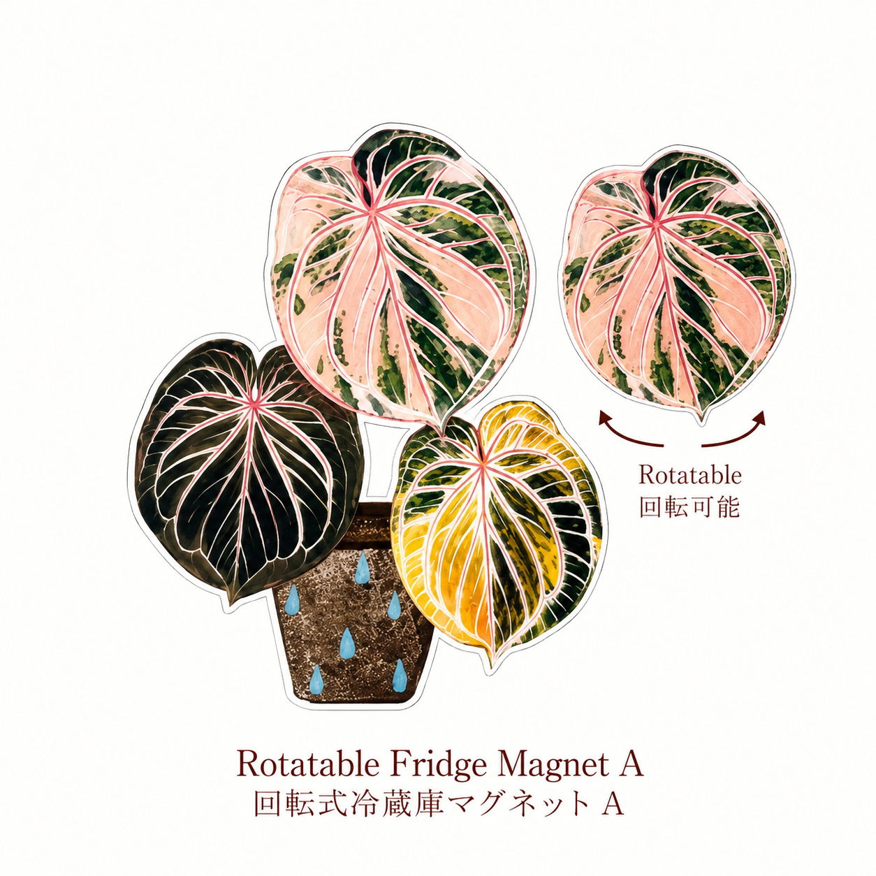 FridgeMuse Botanical Collection Rotatable Refrigerator Magnet