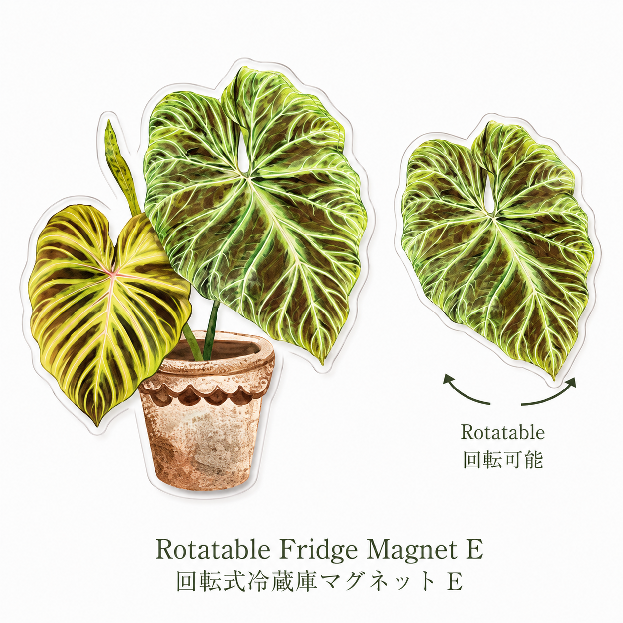 FridgeMuse Botanical Collection Rotatable Refrigerator Magnet