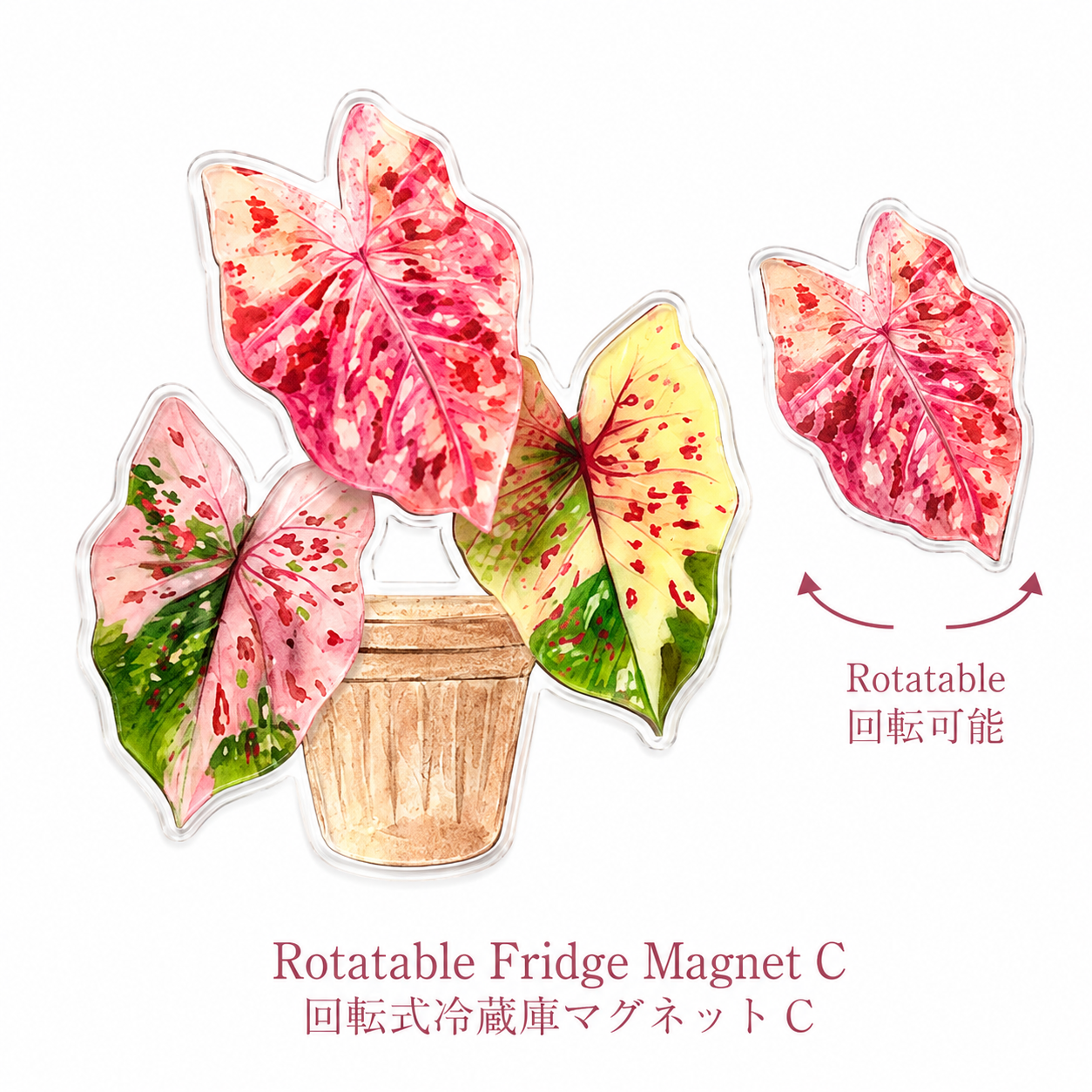 FridgeMuse Botanical Collection Rotatable Refrigerator Magnet