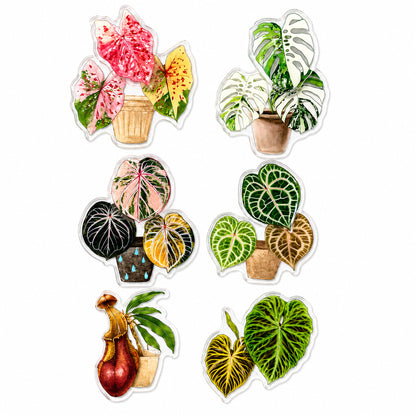 FridgeMuse Botanical Collection Rotatable Refrigerator Magnet