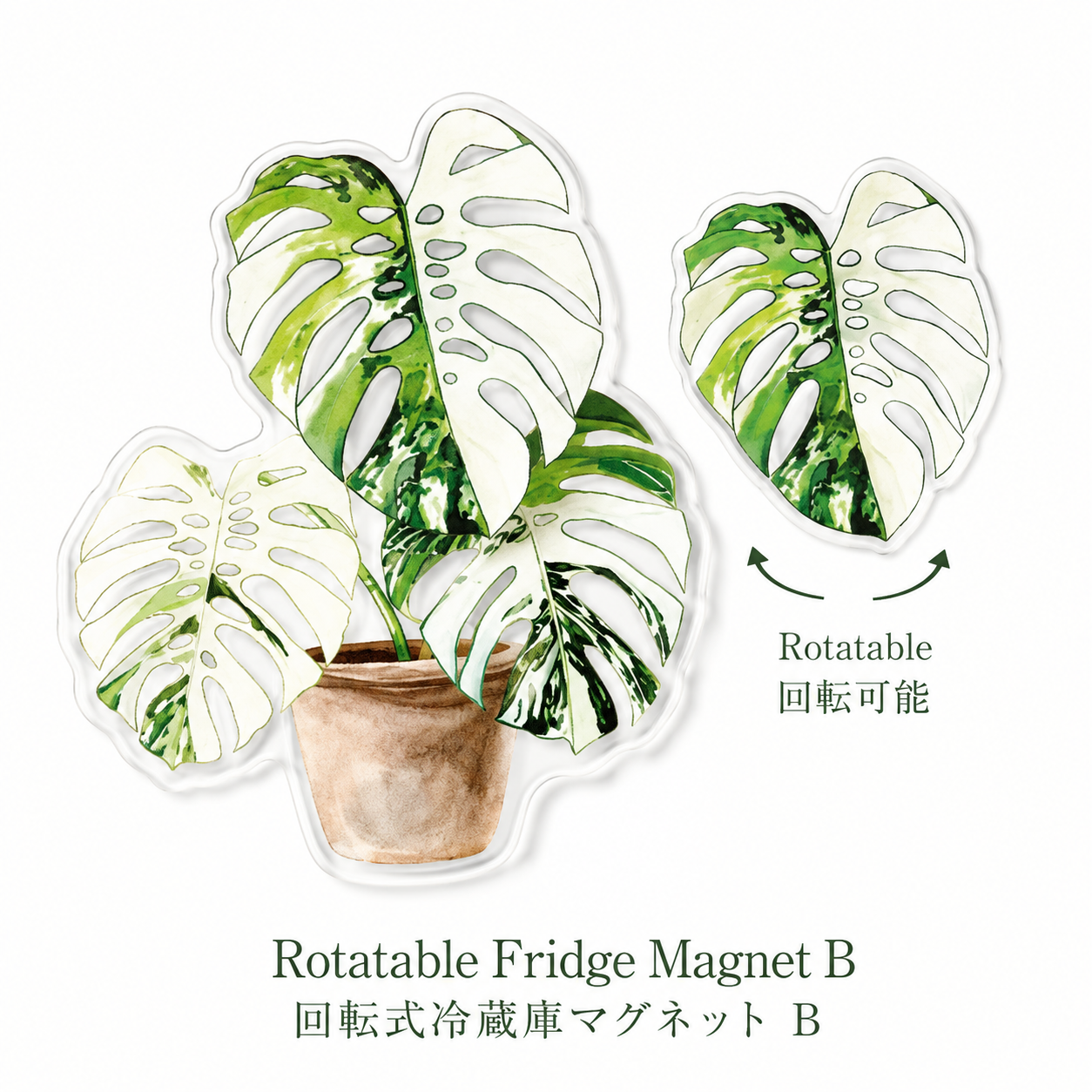 FridgeMuse Botanical Collection Rotatable Refrigerator Magnet