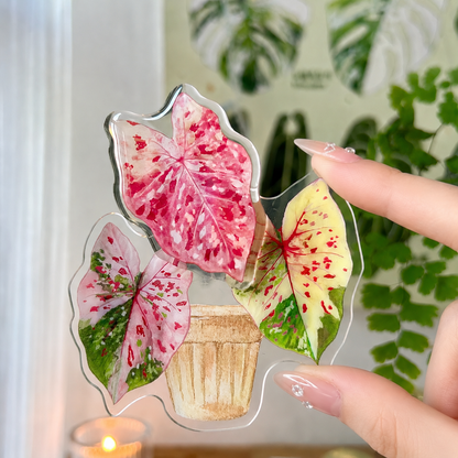 FridgeMuse Botanical Collection Rotatable Refrigerator Magnet