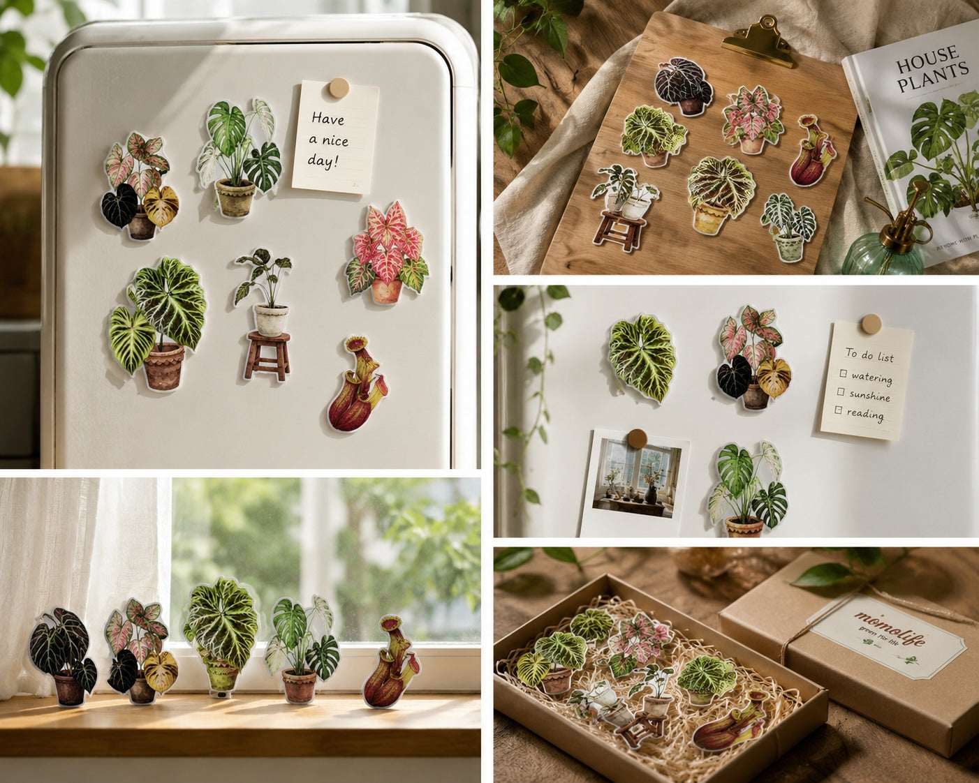 FridgeMuse Botanical Collection Rotatable Refrigerator Magnet