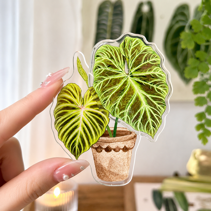 FridgeMuse Botanical Collection Rotatable Refrigerator Magnet